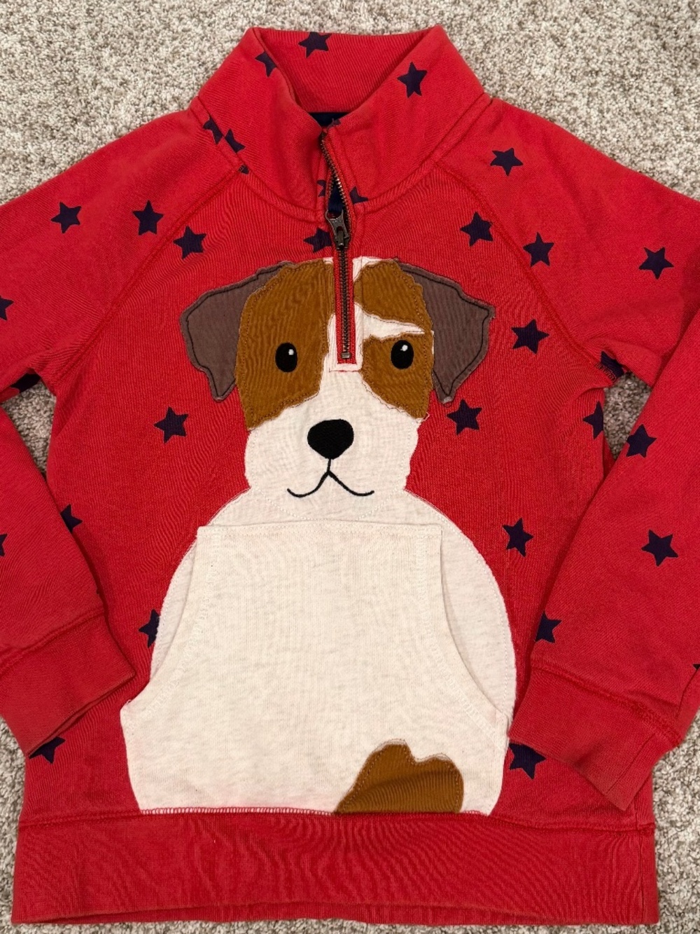 Boden Dog Zip Up